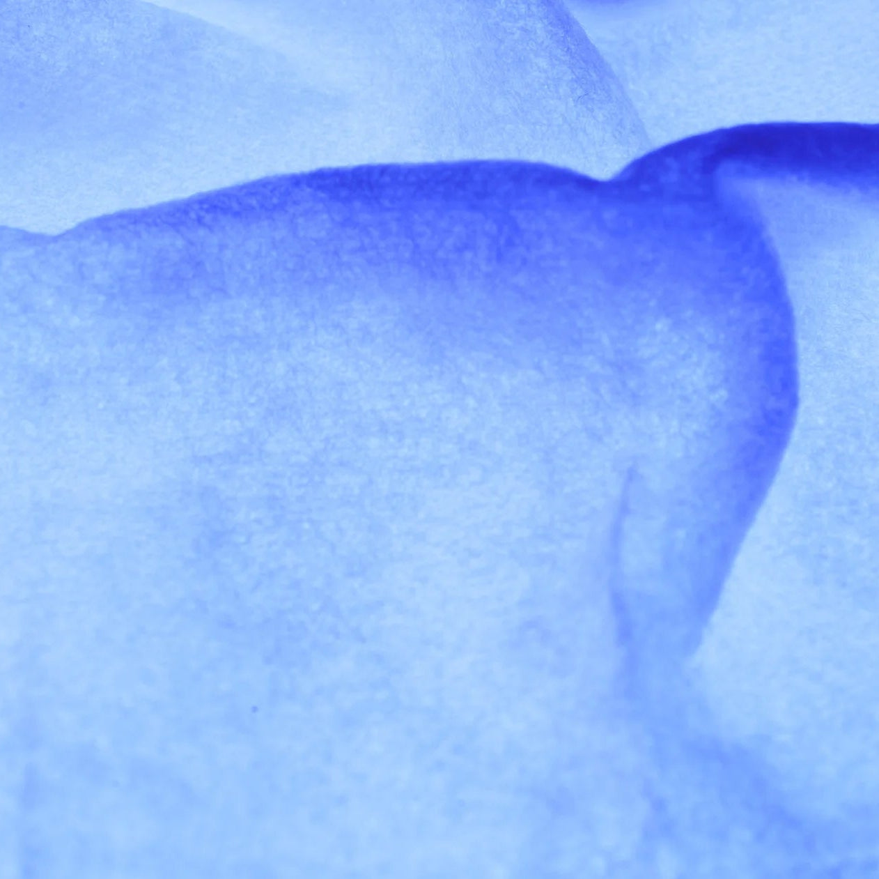 iS Clinical Active Peel System