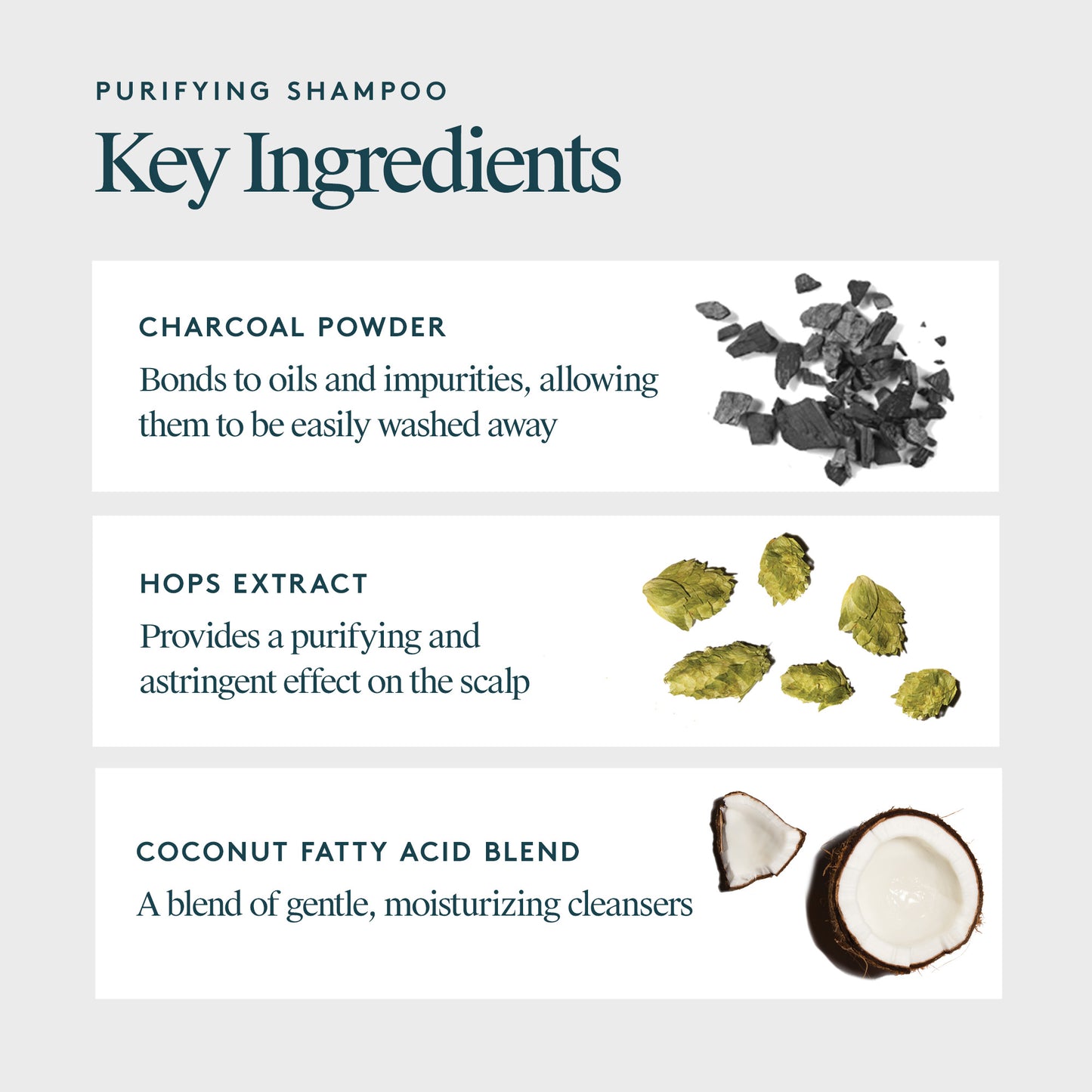 Virtue Refresh Purifying Shampoo Shampoo Virtue