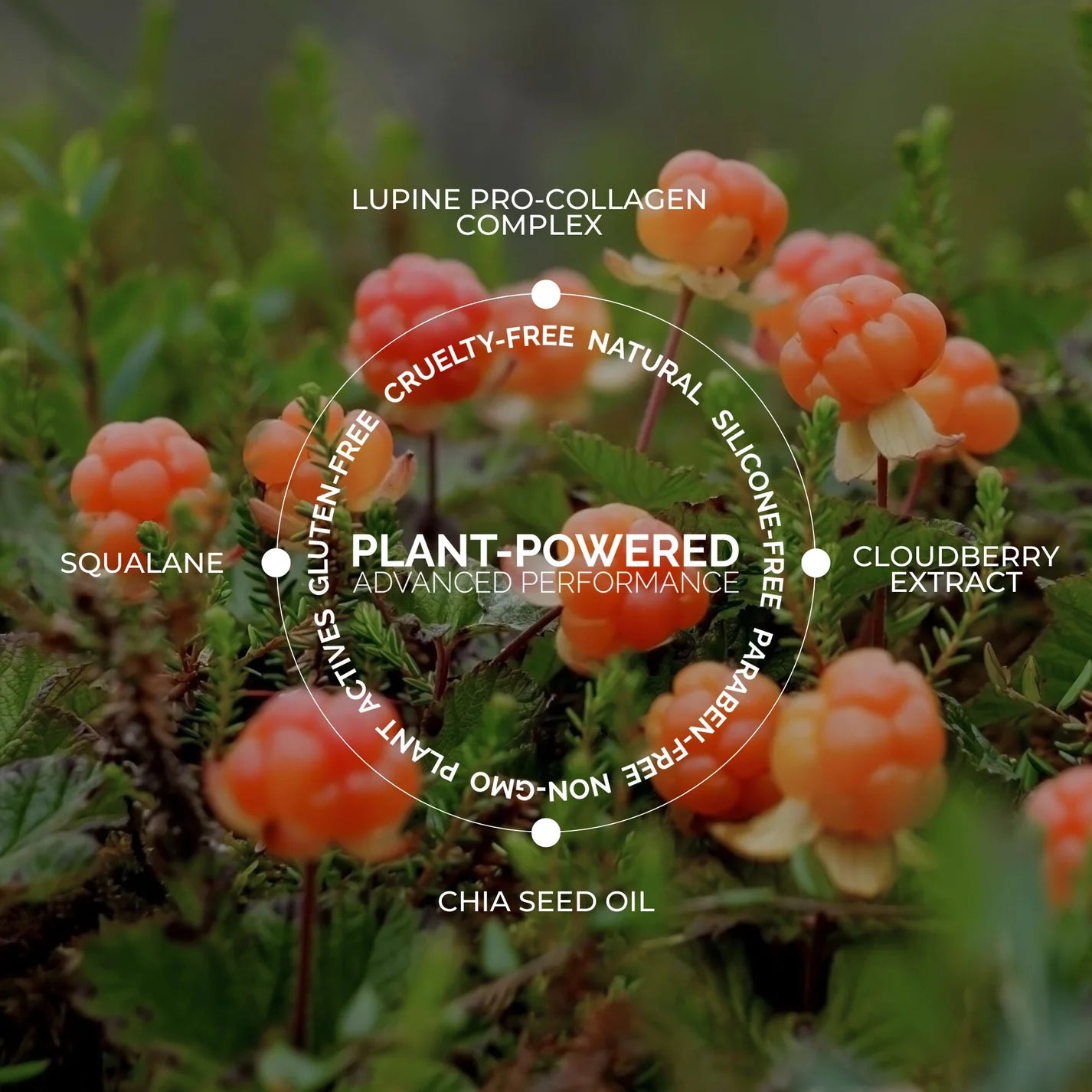 Fitglow Beauty Cloud Collagen Oil