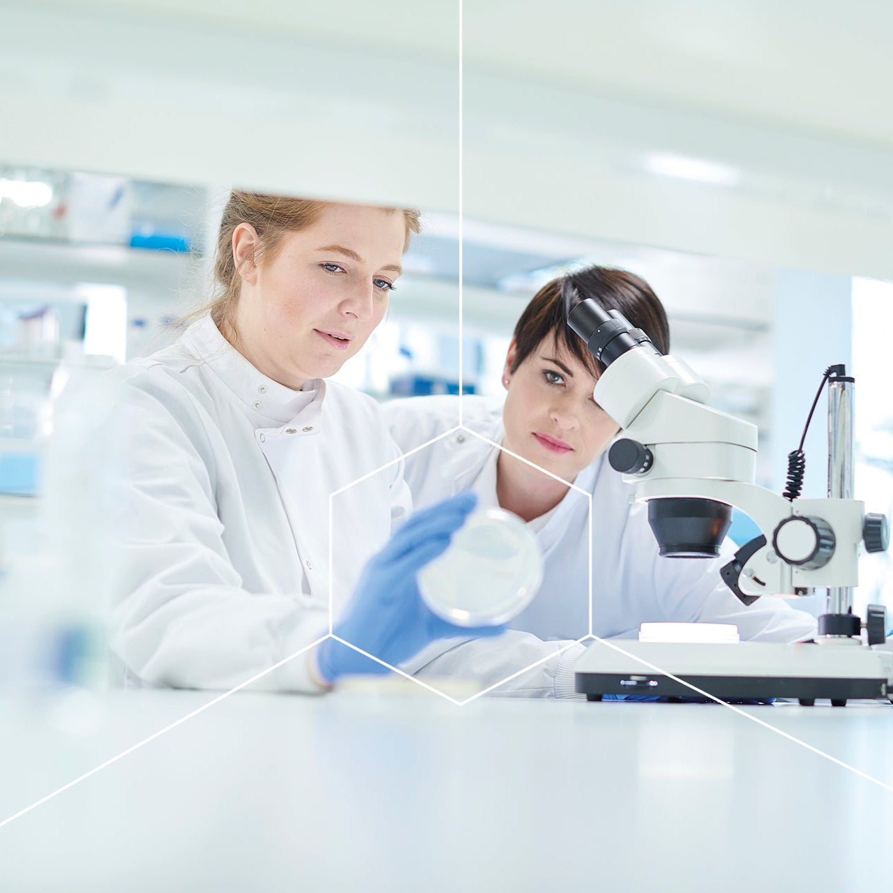 Two scientists in a laboratory setting, one using a microscope.