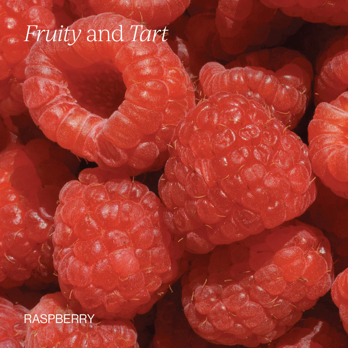 Cymbiotika Creatine+ Supplements Cymbiotika