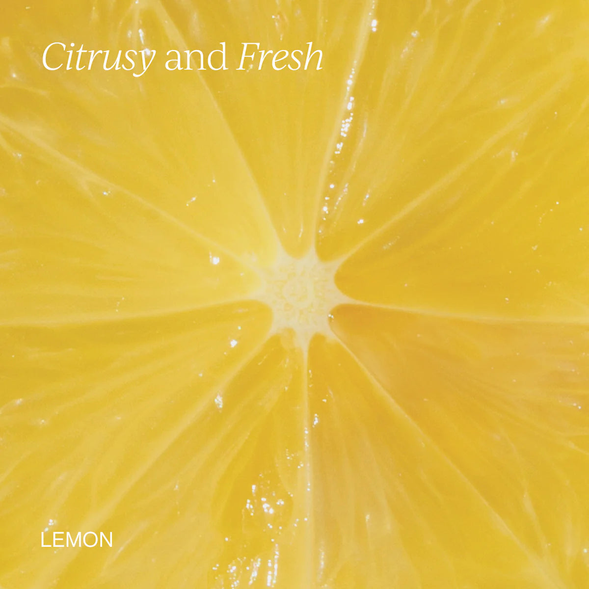 Cymbiotika The Omega