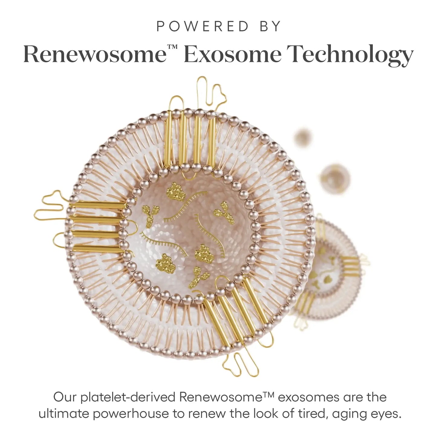 Plated Skin Science EYE Serum