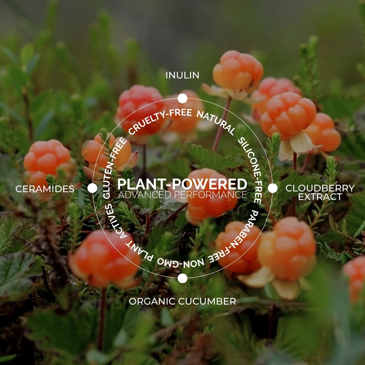 Fitglow Beauty Gentle Ceramide Gel Cleanser