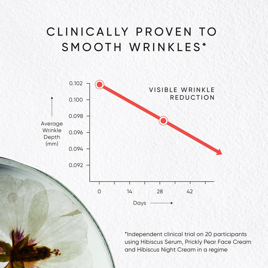 Irene Forte Hibiscus Night Cream with Myoxinol