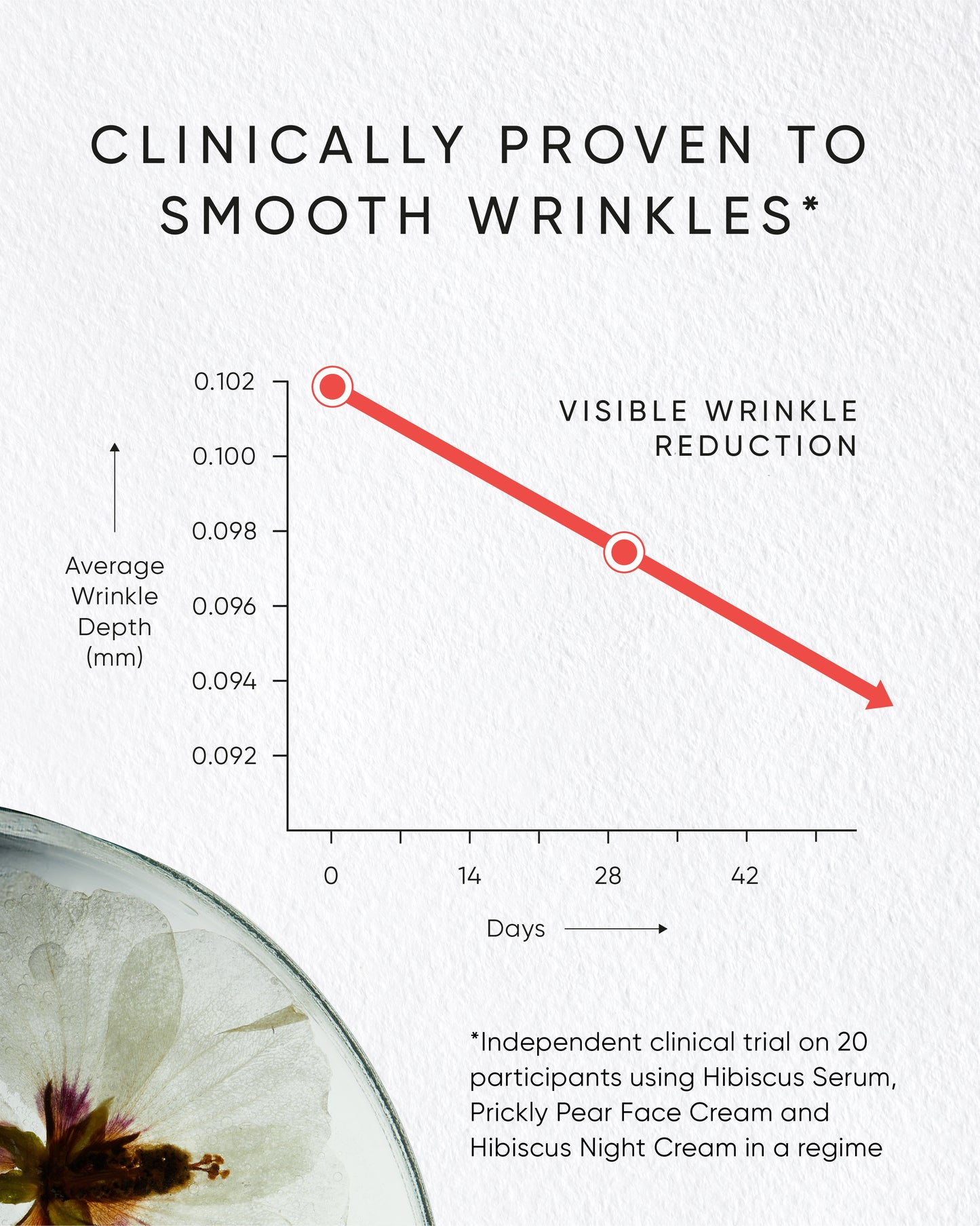 Irene Forte Hibiscus Night Cream with Myoxinol