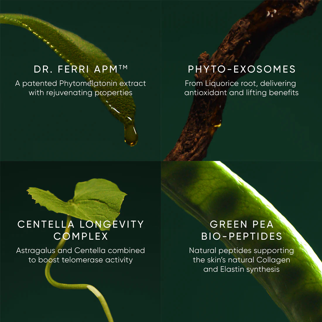 Irene Forte Phytomelatonin Rejuvenating Eye Cream