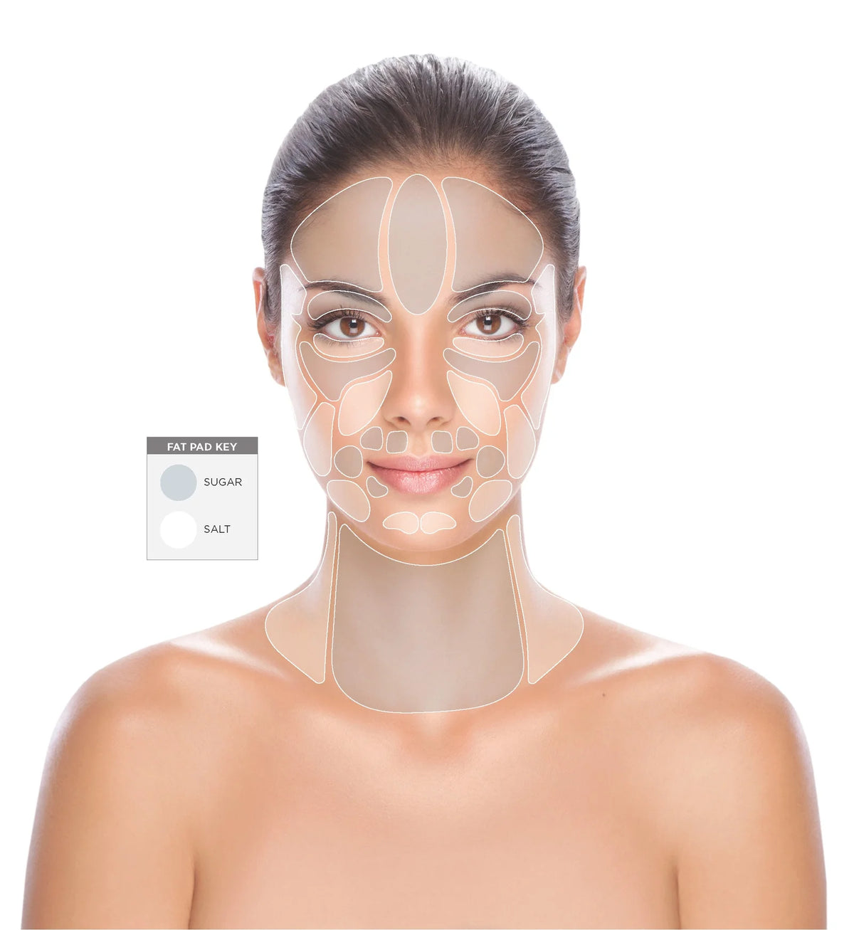 Osmosis Recovery | Prebiotic, Omega, & Fat Pad Renewal Elixir