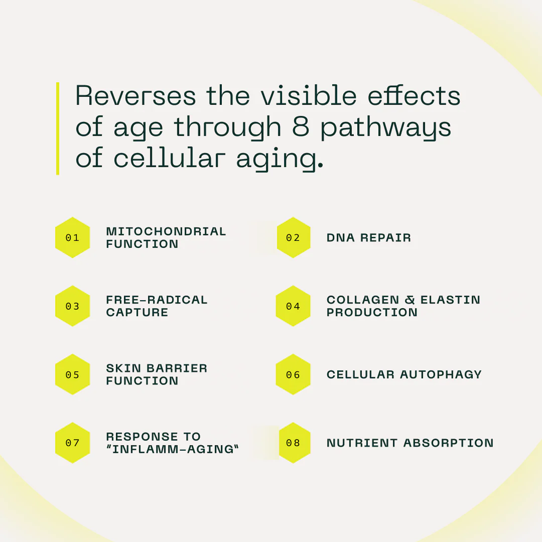 Aramore NAD+ Cell Energizing Supplement