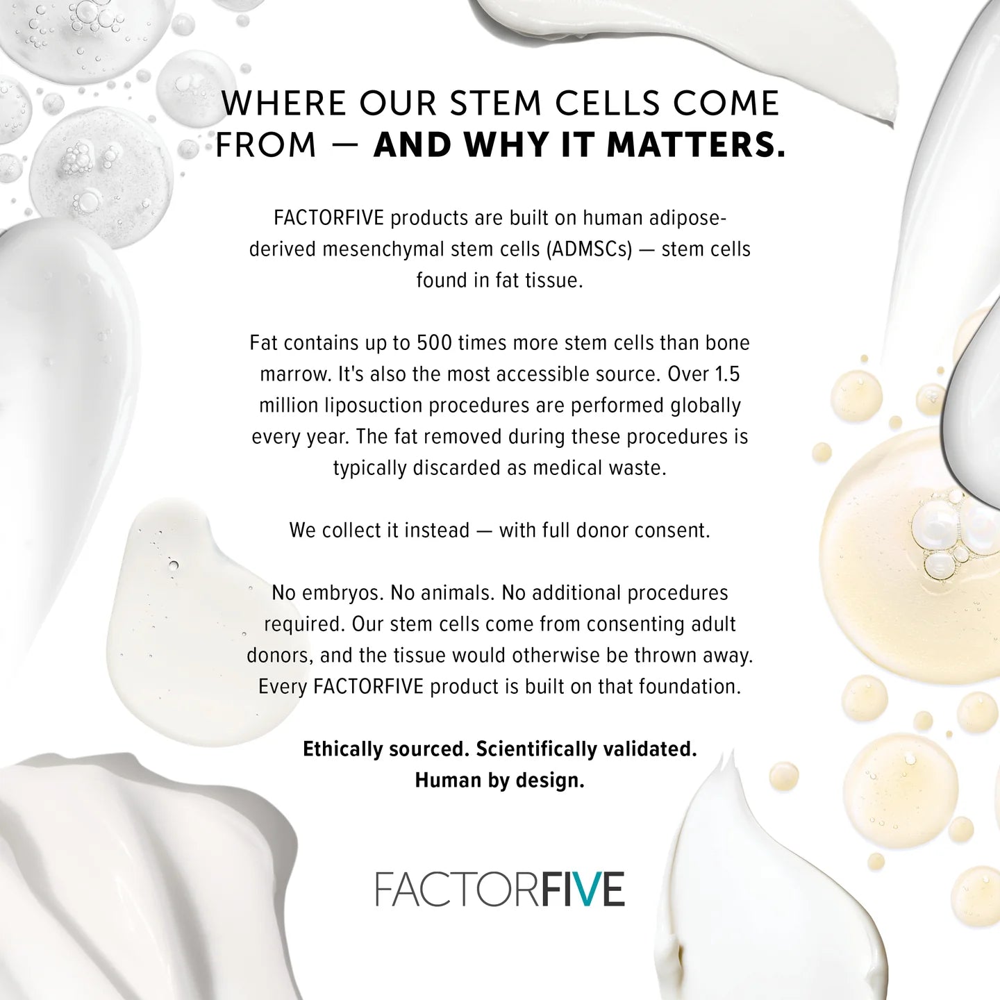 FACTORFIVE Eye/Lash Cream
