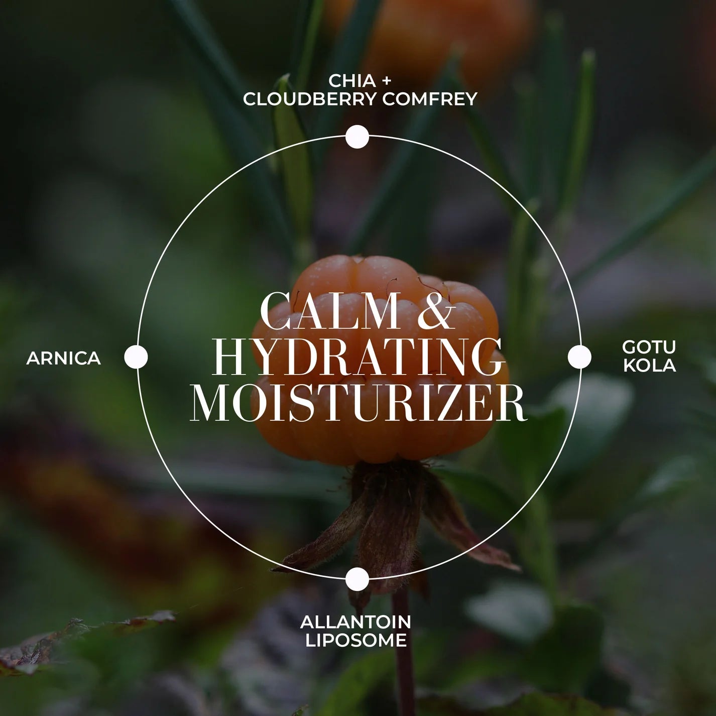 Fitglow Beauty Cloud Comfort Cream