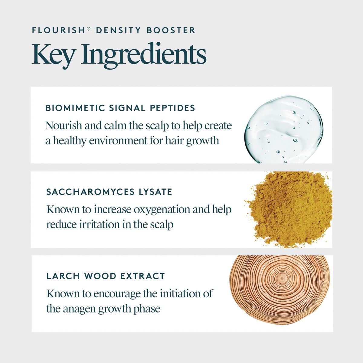 Flourish Density Booster key ingredients with images of biomimetic signal peptides, Saccharomyces lysate, and larch wood extract.