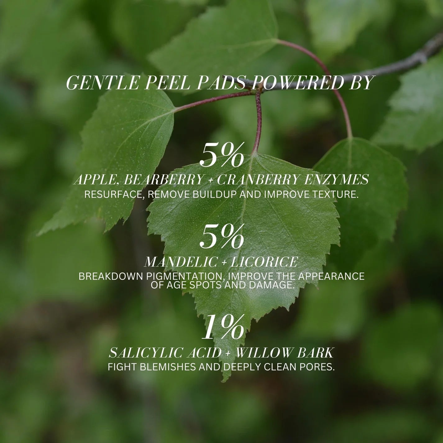 Fitglow Beauty Plant Active Peel Pads