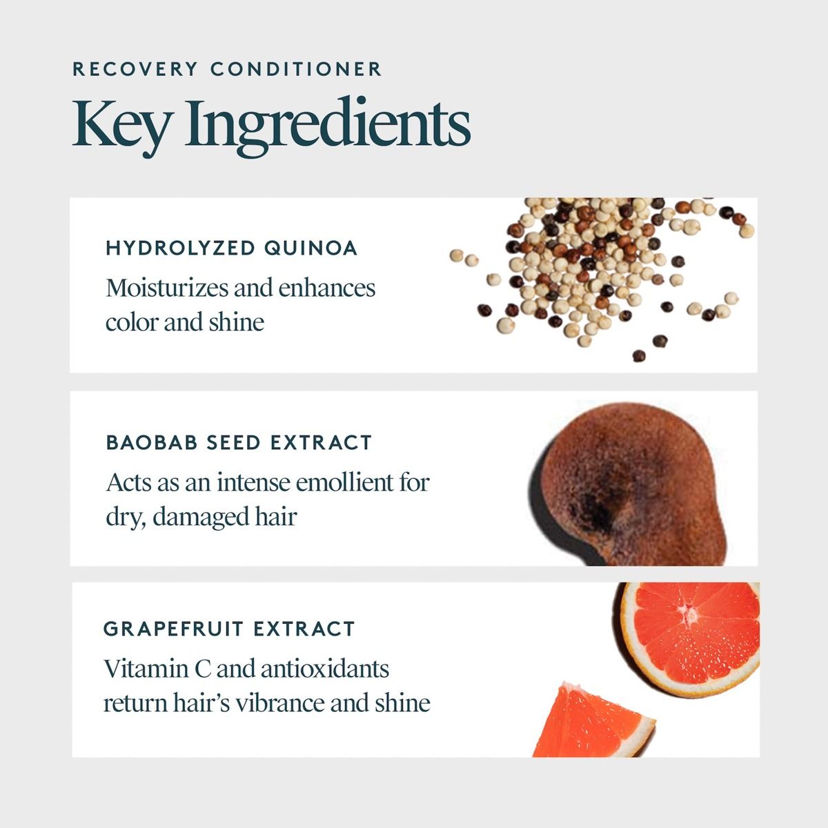 Recovery Conditioner key ingredients list with hydrolyzed quinoa, baobab seed extract, and grapefruit extract on a light gray background.
