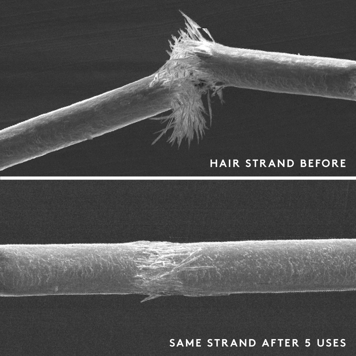 SEM image of a hair strand before and after use, showing damage.