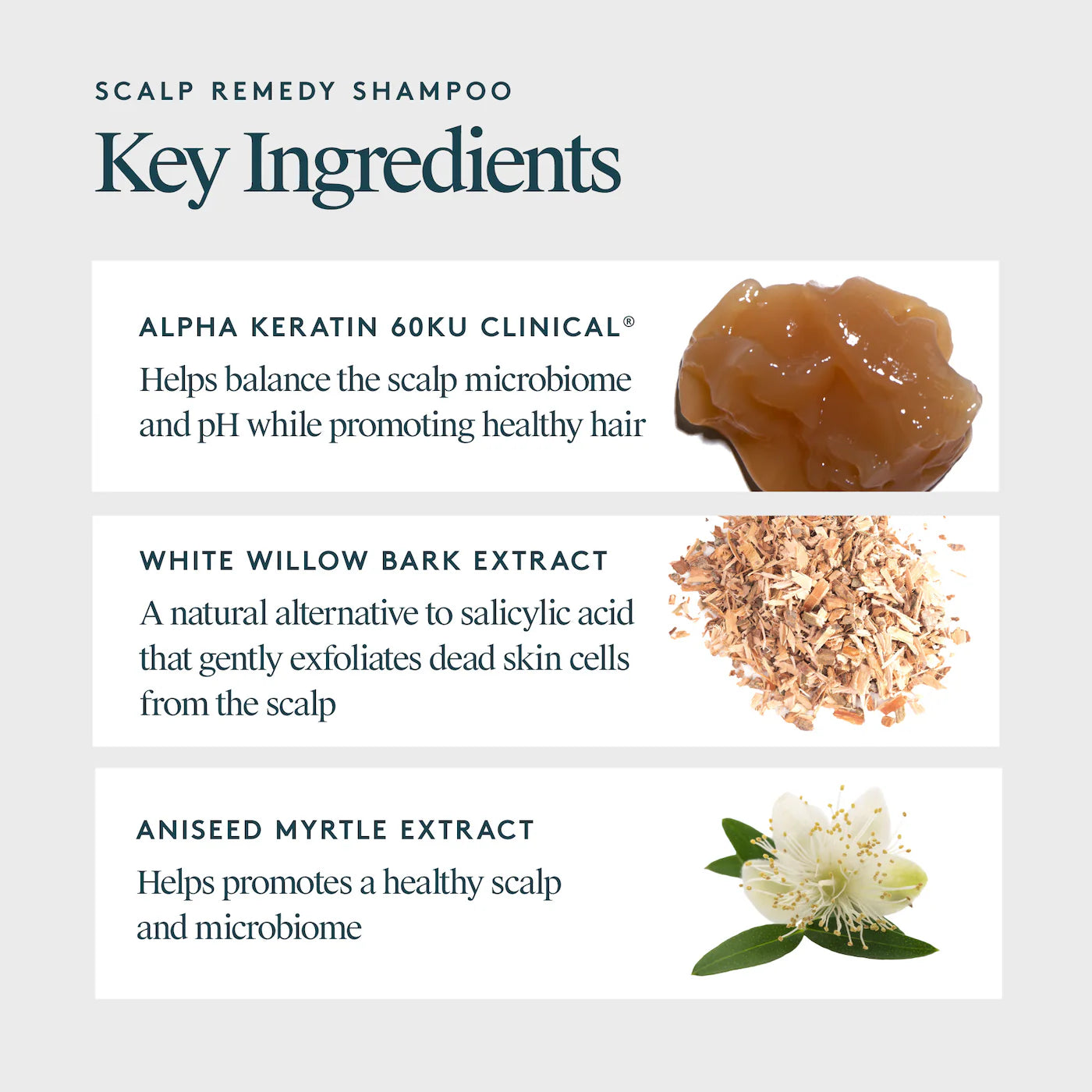 Virtue Scalp Remedy Shampoo Shampoo Virtue