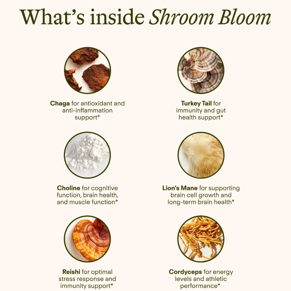 Sunny Within Shroom Bloom Supplements Sunny Within